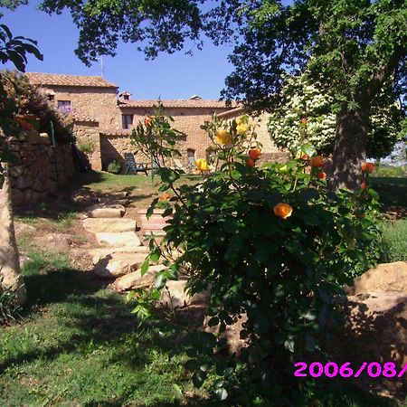 Villa Fonte all'Oppio con area piscina recintata Pienza Esterno foto